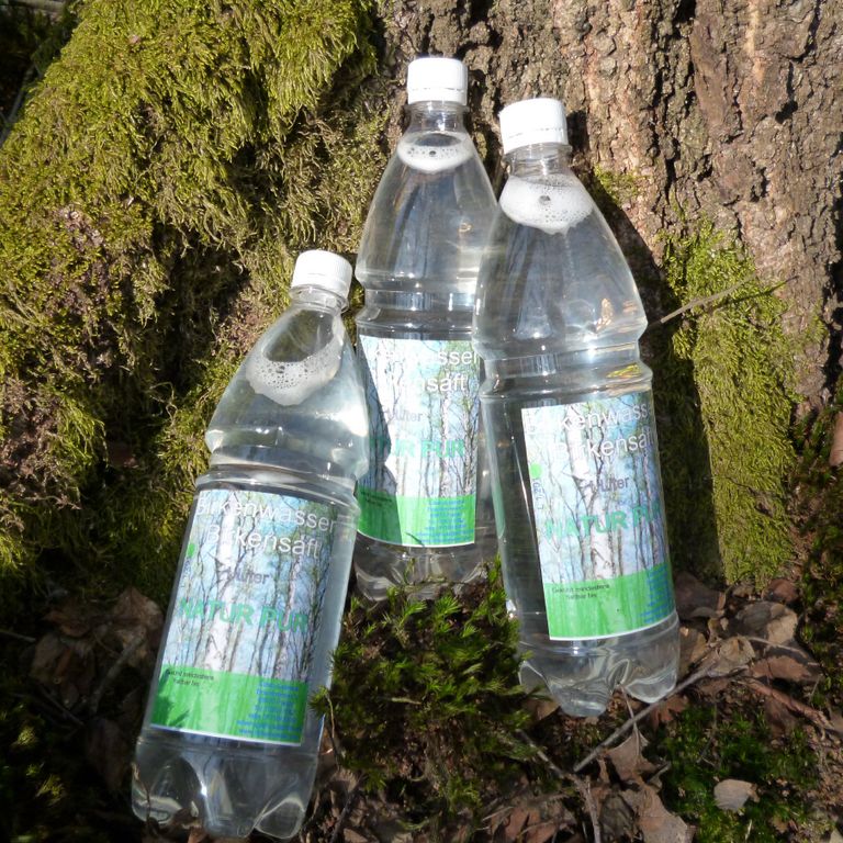 Birkenwasser NATUR PUR